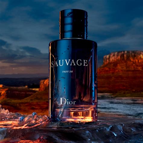 dior sauvage luchtje|sauvage by dior cologne.